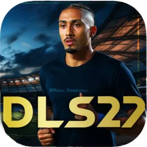 DLS 27 Logo