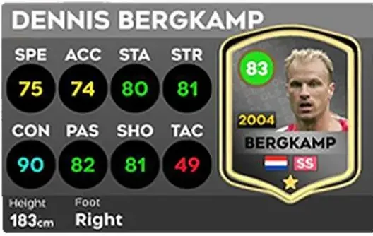 dls25-bergkamp-2004