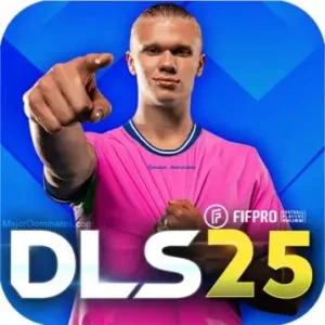 dls 24 logo