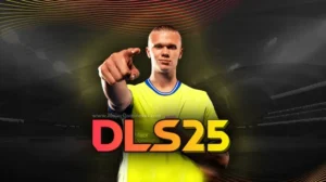 dls-25-cover